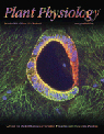 Plant Physiology October 2010 pp.110.165431. Cover image