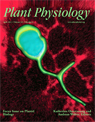 Plant Physiology April 2011 vol. 155 no. 4 1667-1677 Cover image